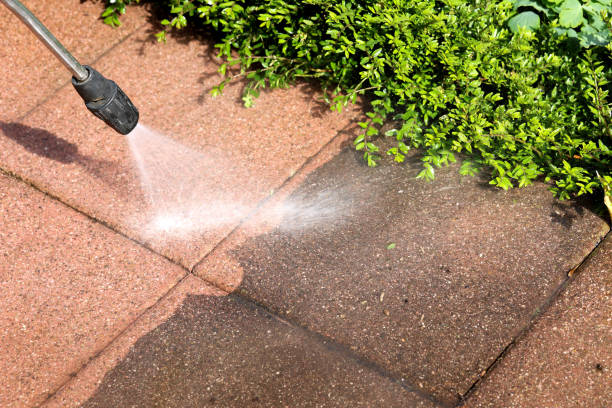 Best House Pressure Washing  in Scotchtown, NY